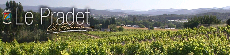 Le Pradet: les vignes dans l'arrire-pays
